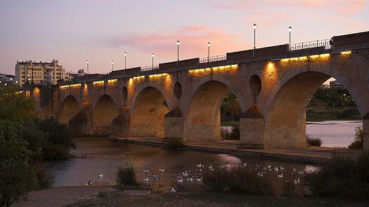 日落时与西班牙瓜迪亚纳河上的鸭子搭桥视频的预览图