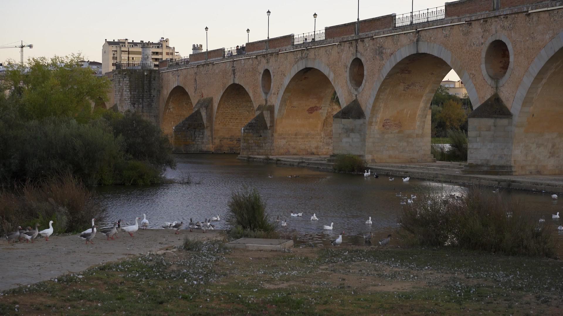 日落时在西班牙的瓜迪亚纳河上视频的预览图