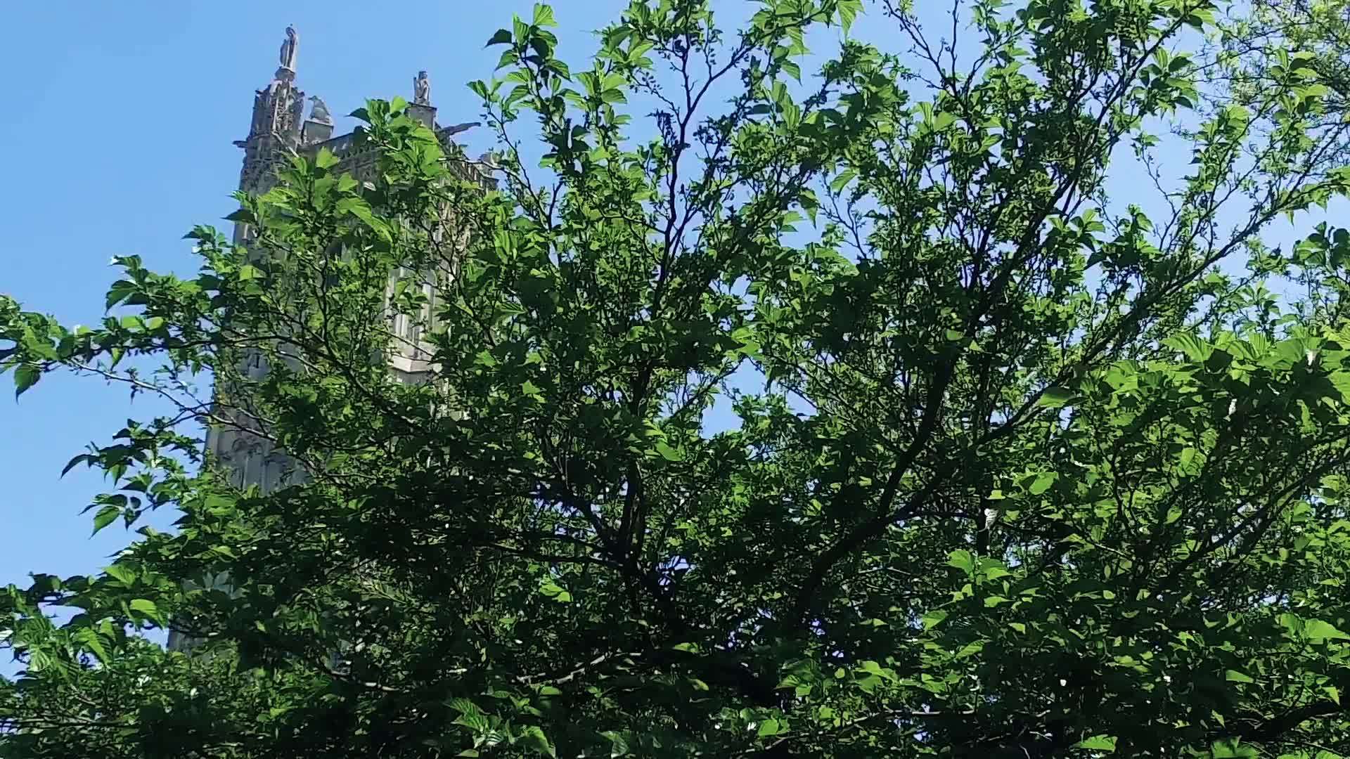 圣雅克教堂塔具有历史意义视频的预览图