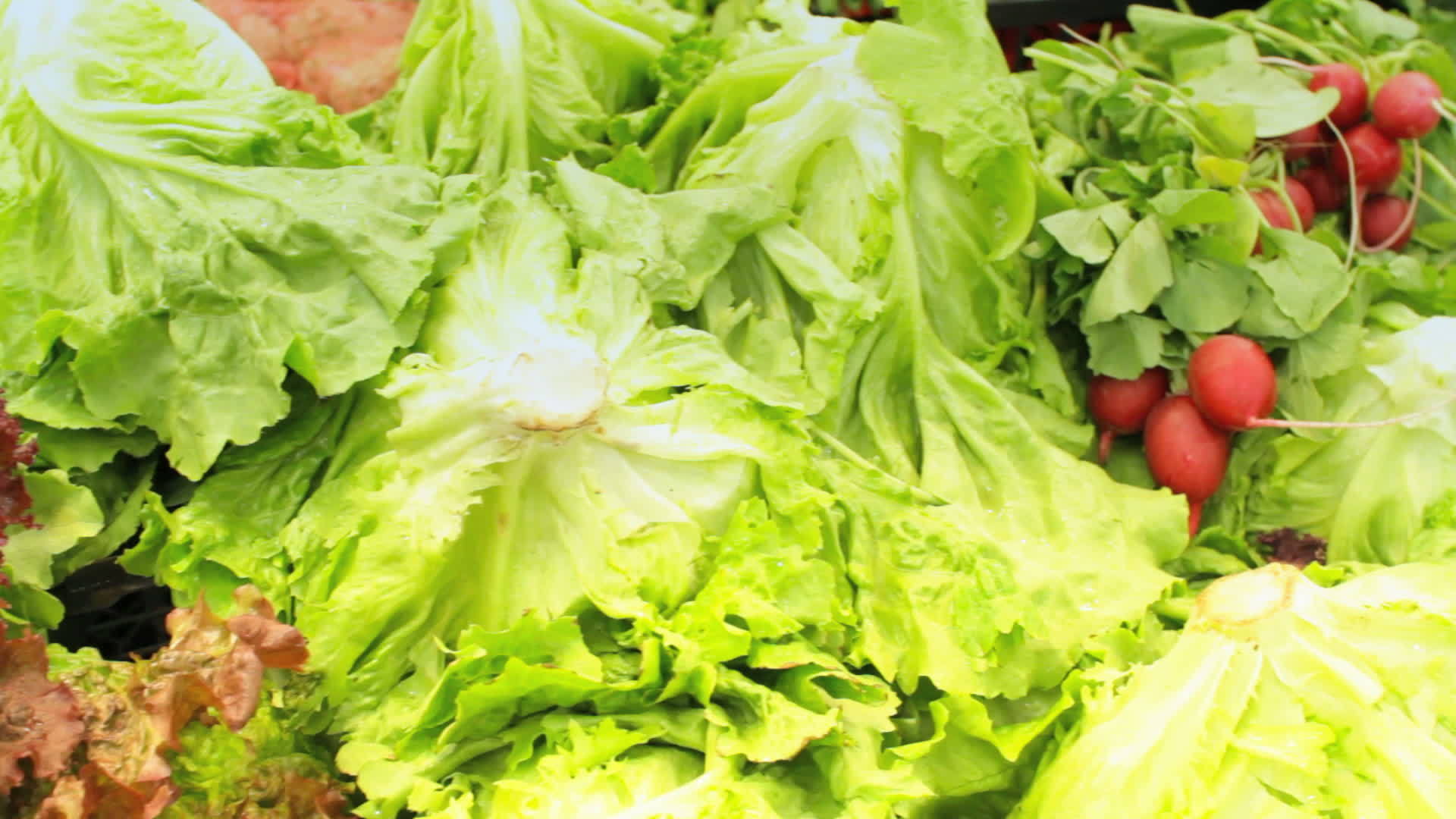 新鲜的绿色市场沙拉视频的预览图