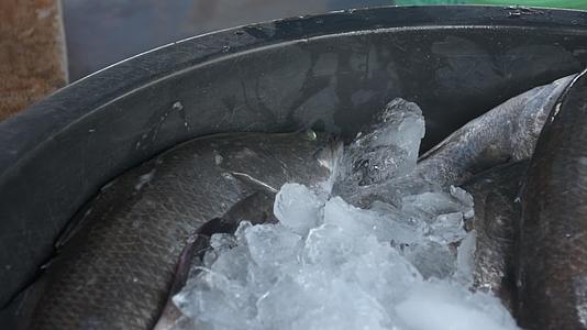 从冰中浸泡的新鲜鱼视频的预览图