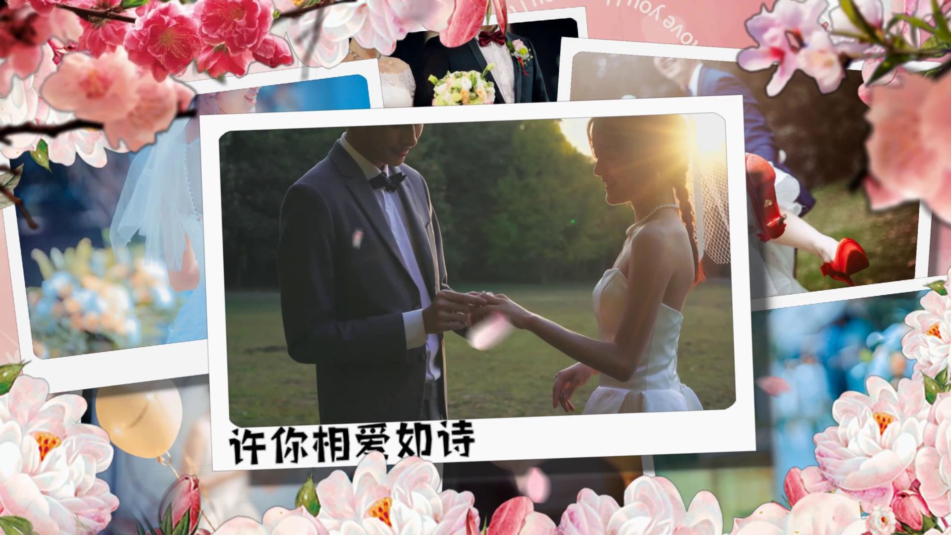 唯美婚礼婚庆节日纪念相册展示会声会影模板视频的预览图