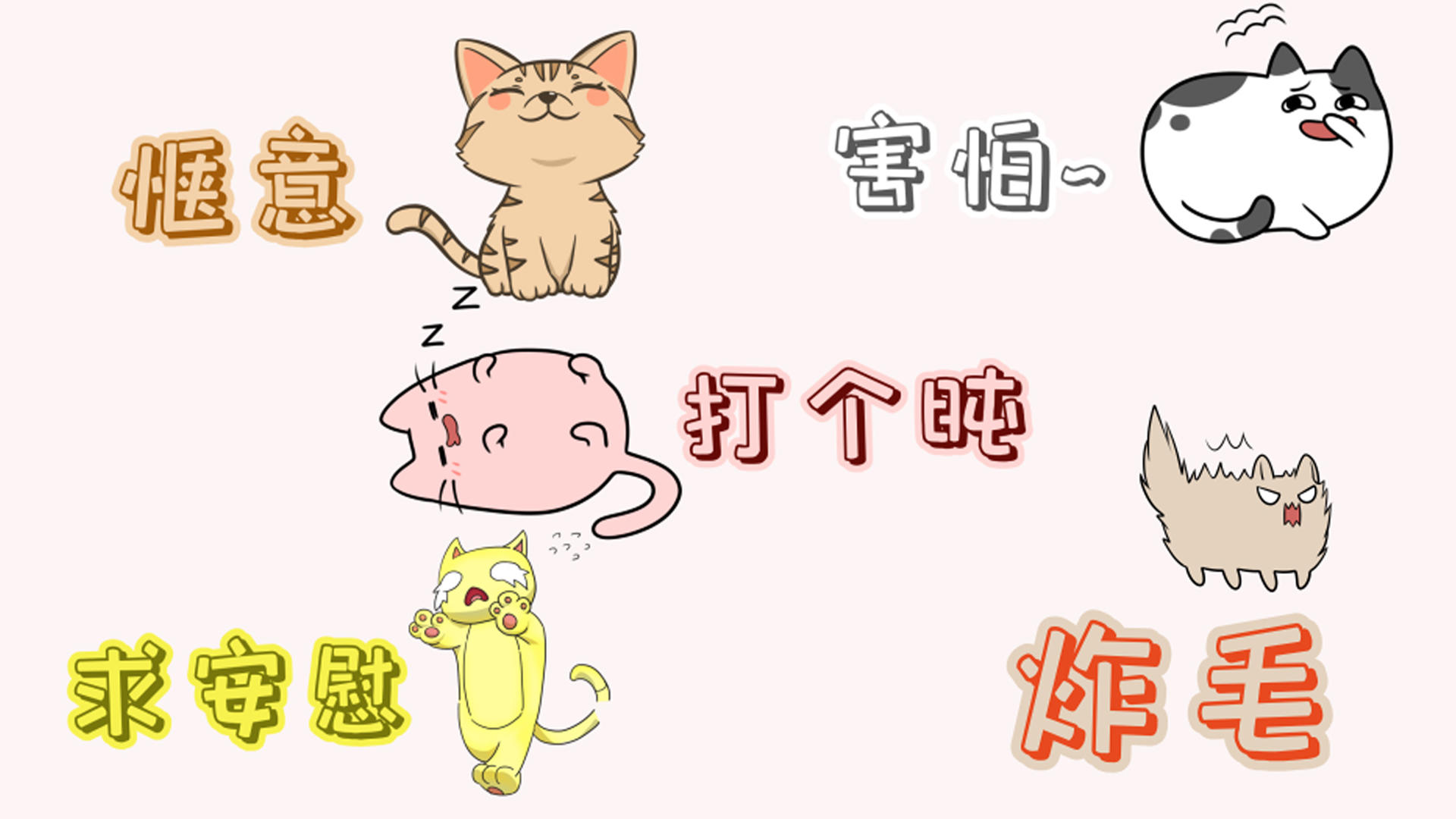 猫猫综艺弹幕ae模板视频的预览图