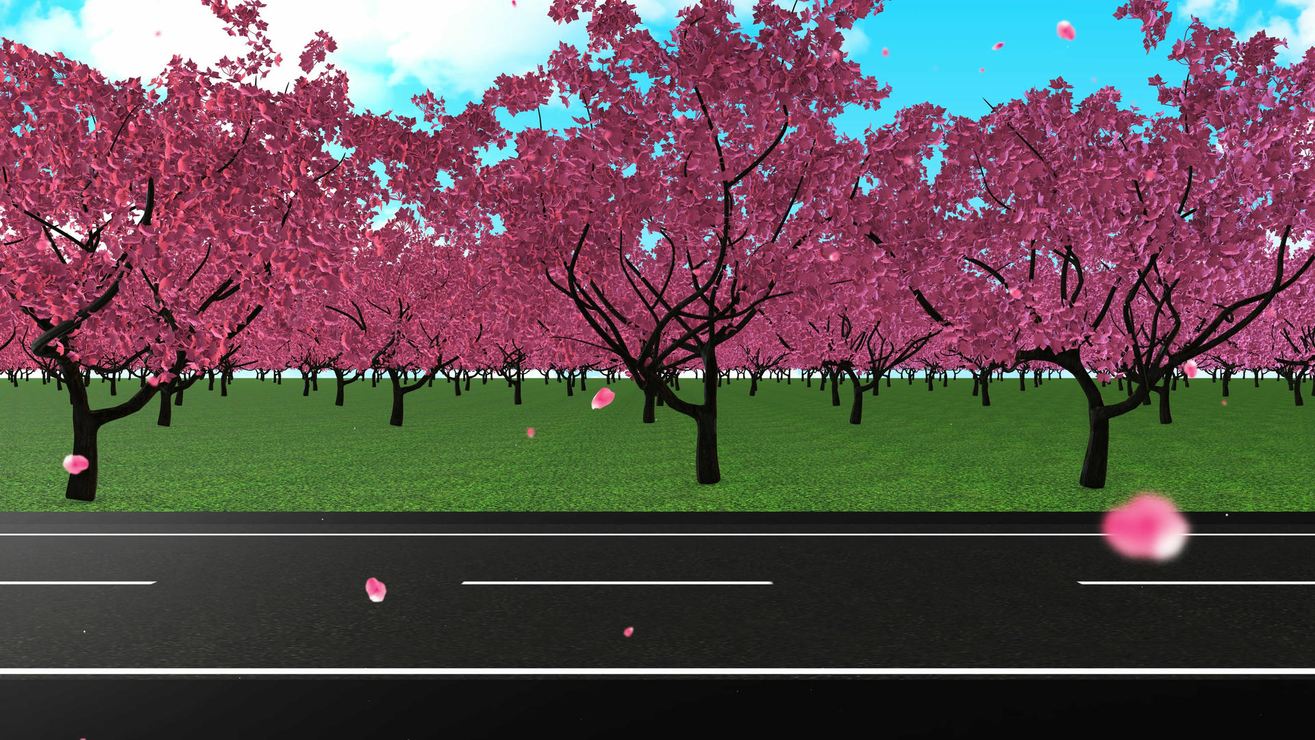 4K唯美的三维桃花背景素材视频的预览图