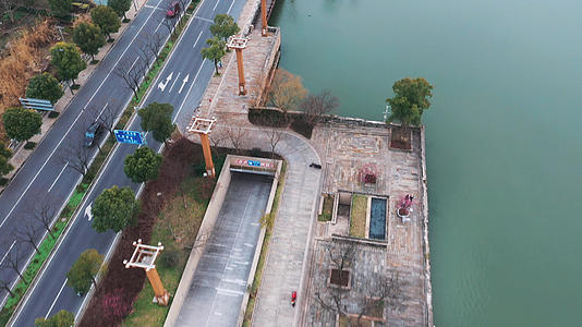 上海广富林遗址公园周边道路绿化视频的预览图
