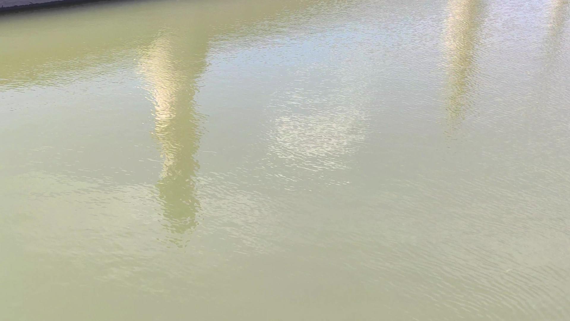 帕杜阿2马铃薯蛋白酒的河流反射视频的预览图