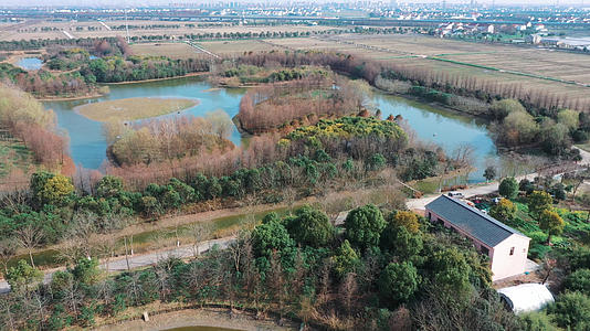 上海松江茂港湿地公园视频的预览图