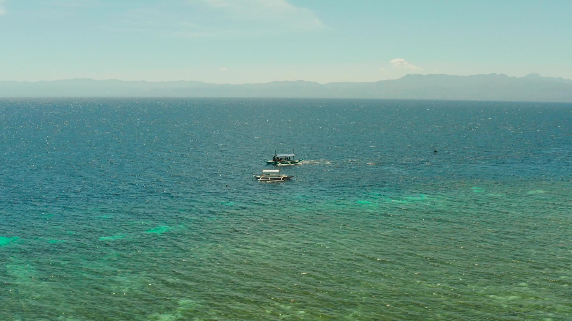 珊瑚礁含有绿石水马铃薯海豚视频的预览图