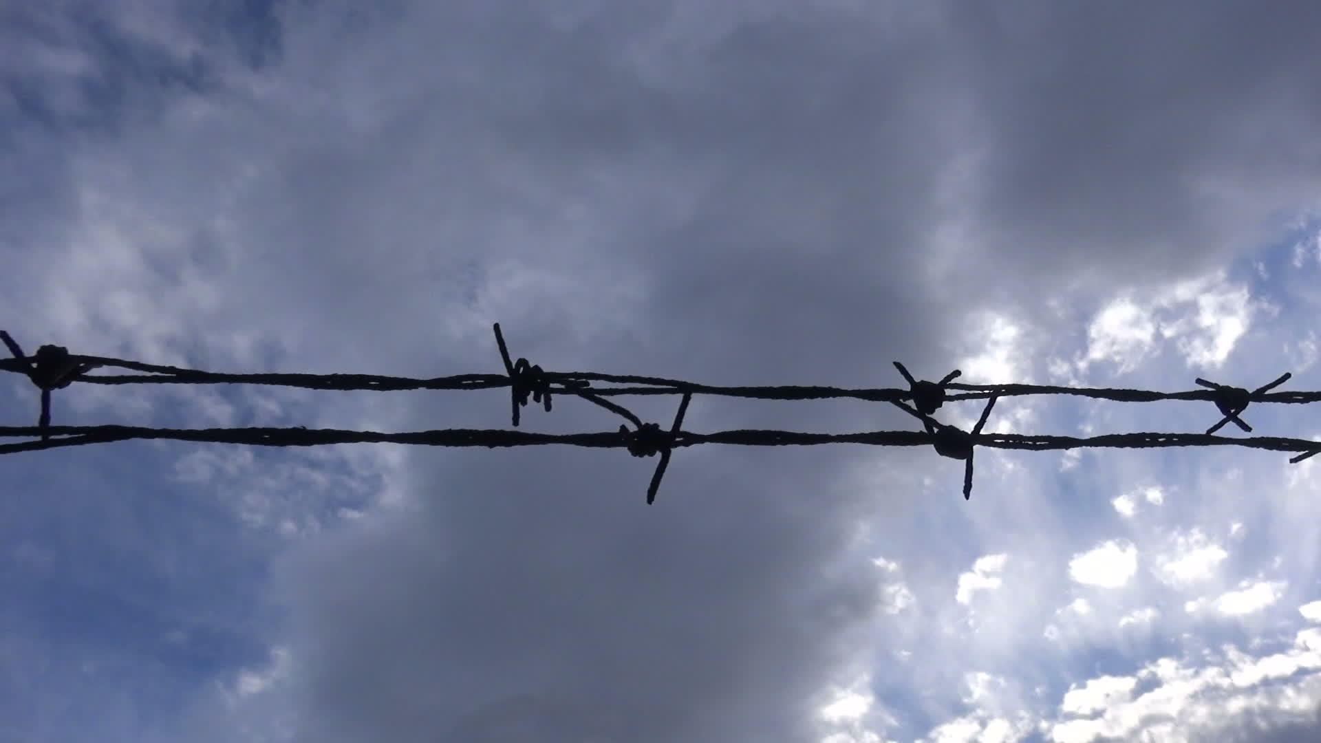 带刺的铁丝网面向云天2视频的预览图
