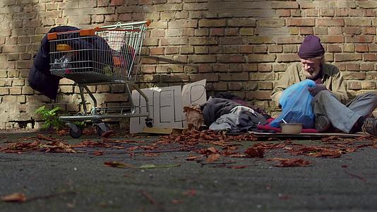 无家可归的人坐在砖墙旁边的纸板上视频的预览图