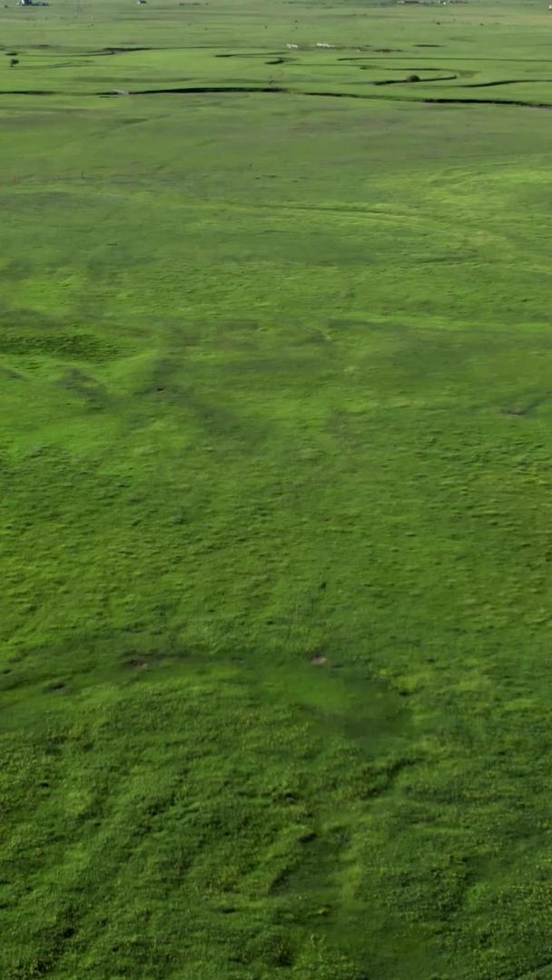 五k航拍美丽的草原和蜿蜒的草原河流九曲湾视频的预览图
