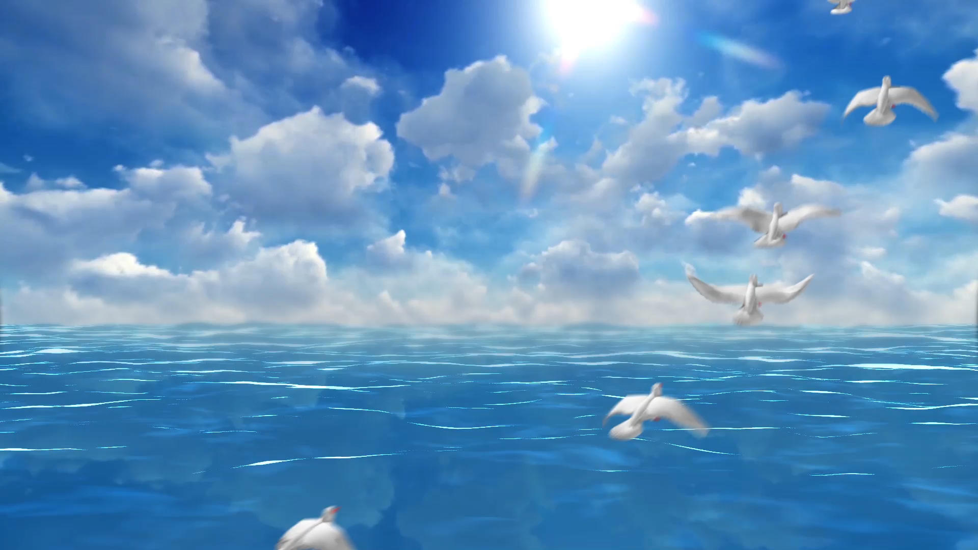 蓝天白云鸽子飞过视频的预览图