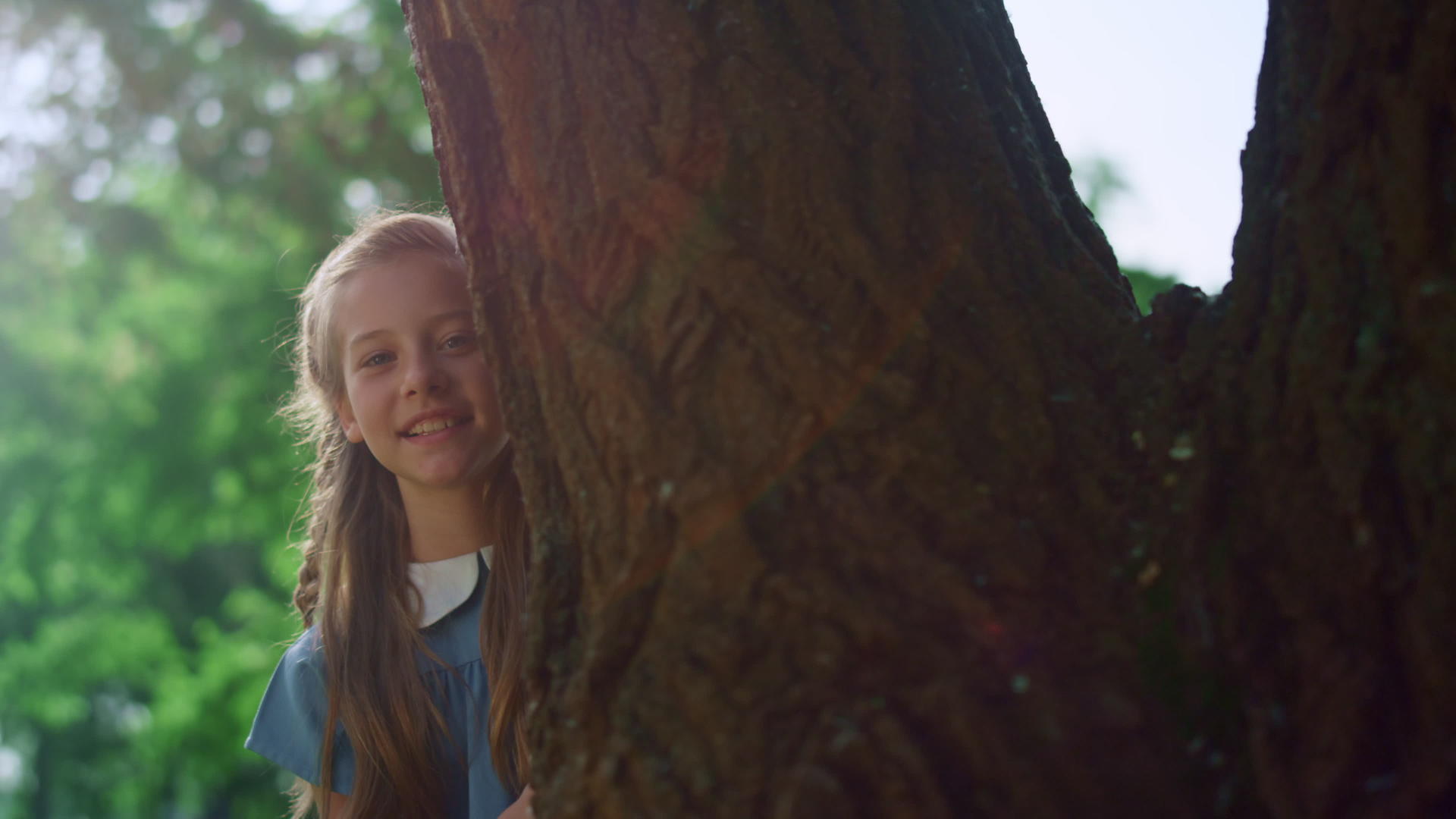 可爱的金发姑娘看着巨大的树干视频的预览图