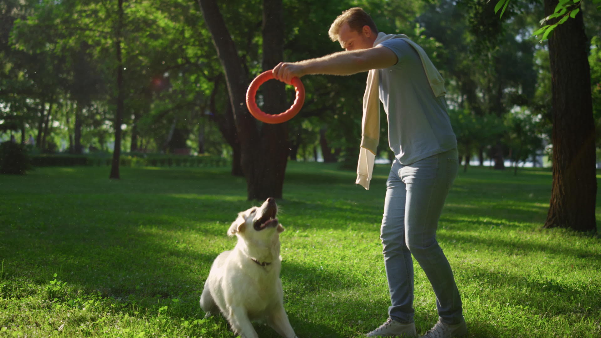 笑容英俊的男人训练狗视频的预览图