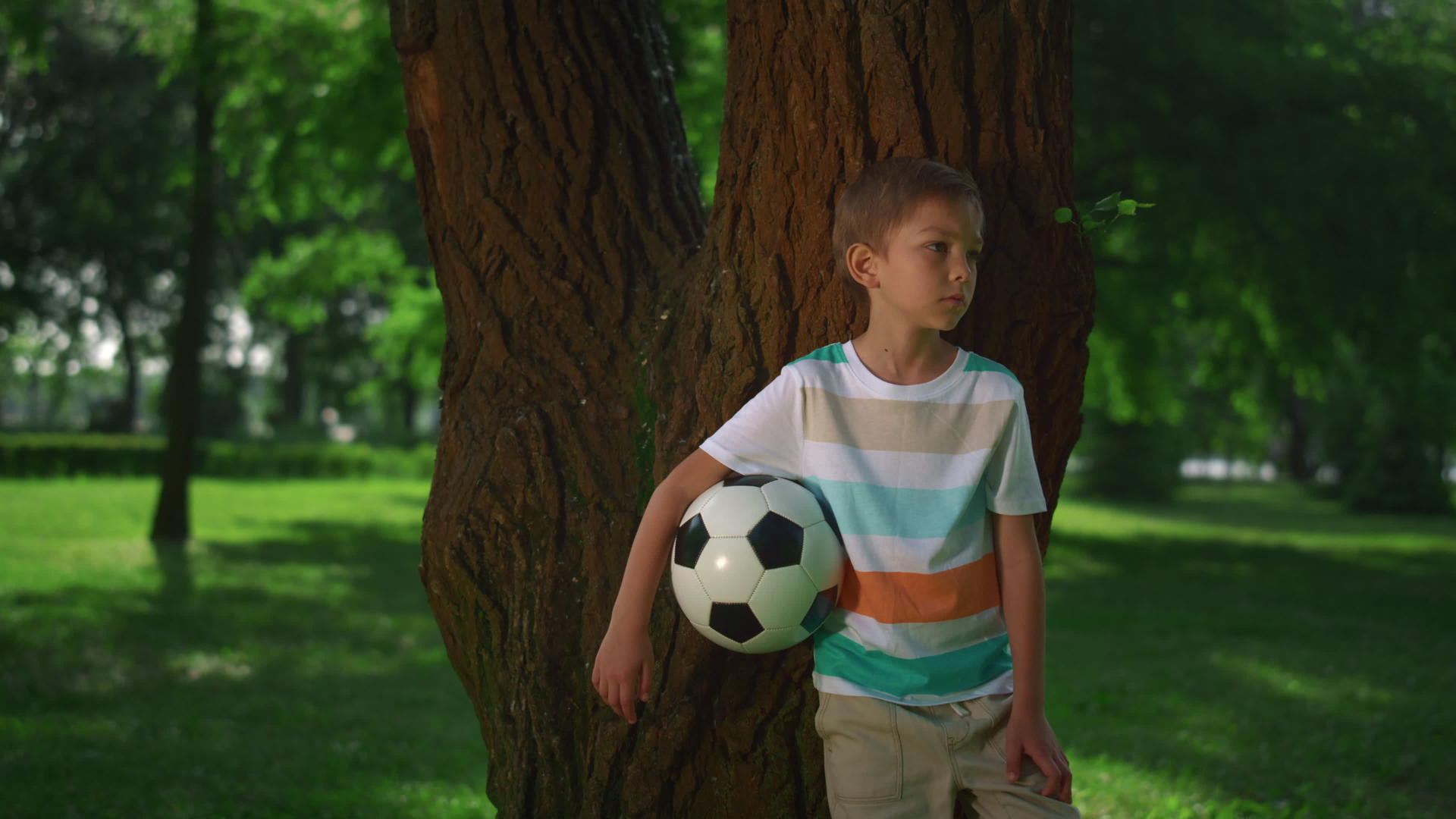 小男孩抱着足球靠在树上视频的预览图