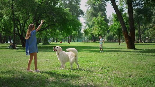 一个可爱的女孩在绿色公园训练狗视频的预览图