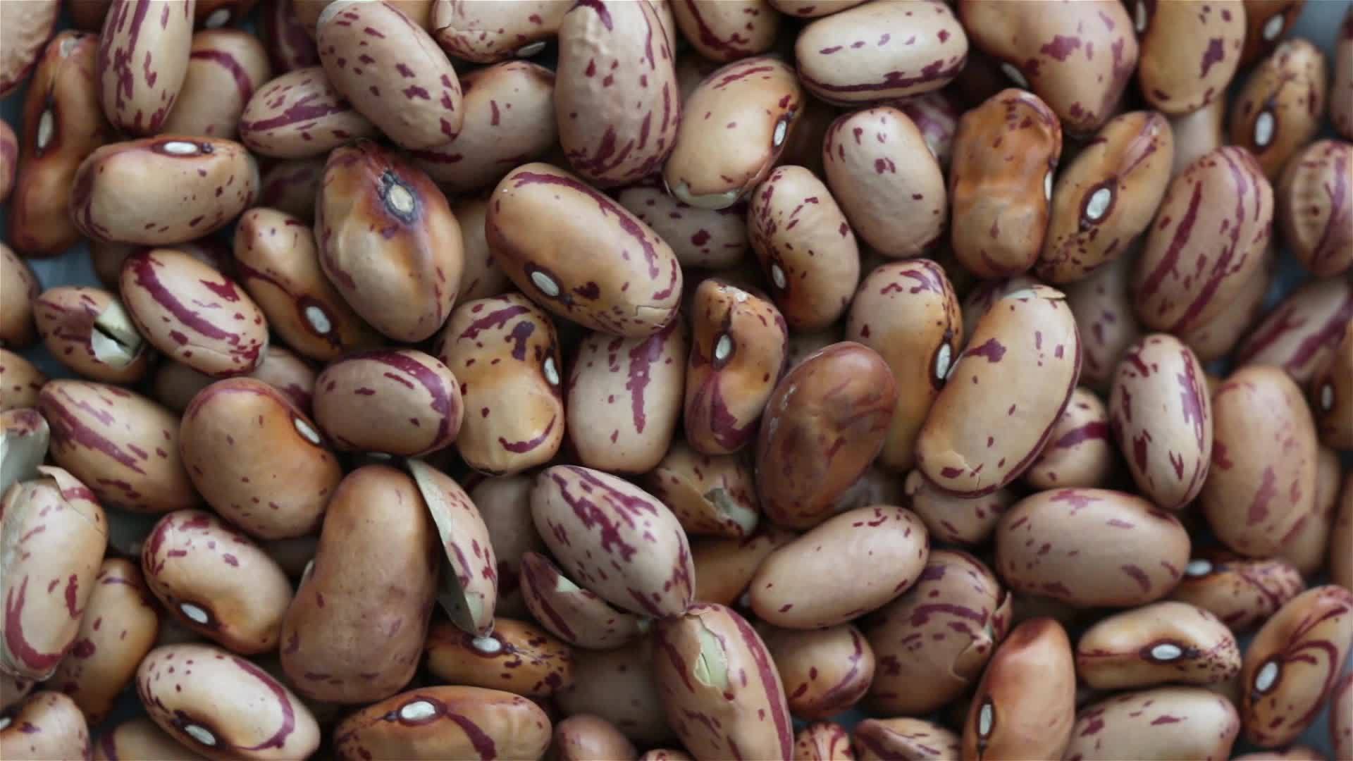 豆类视频的预览图