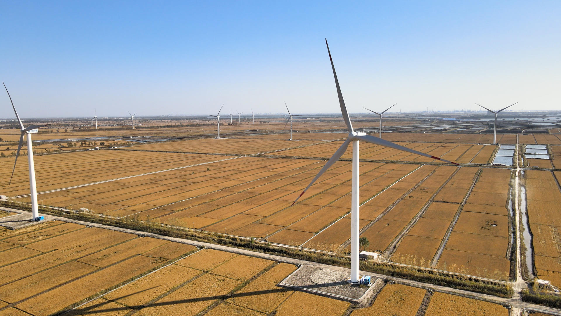 4K风力发电风车电力国家电网水稻田地视频的预览图
