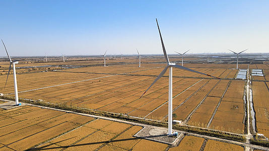 4K风力发电风车电力国家电网水稻田地视频的预览图