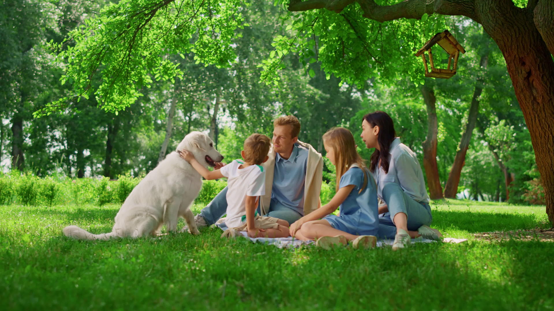 年轻的家庭在野餐时爱抚拉布拉多犬视频的预览图