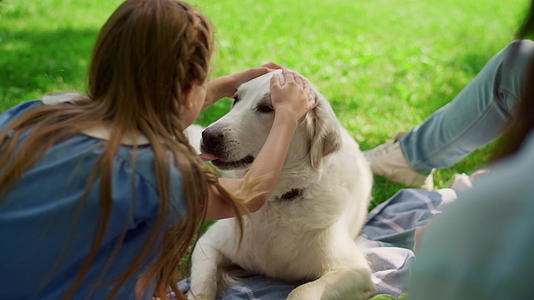 在公园野餐时可爱的小女孩抱着拉布拉多犬视频的预览图