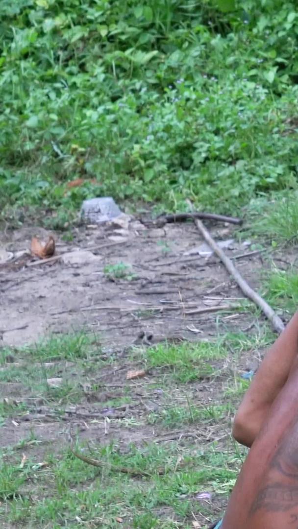 泰国训练猴子摘椰子实拍视频的预览图