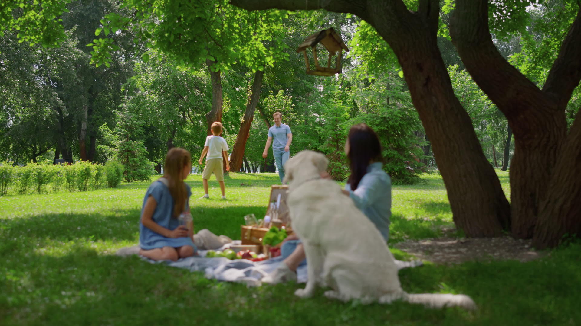 家庭休闲在公园野餐时积极进行视频的预览图