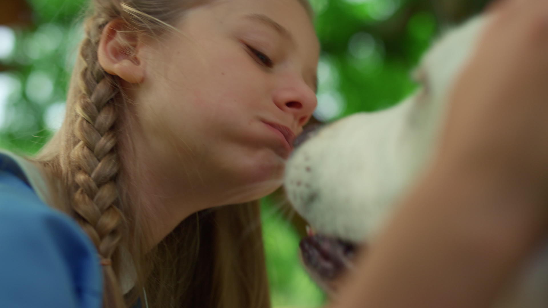 咀嚼女孩爱抚狗特写的画像视频的预览图