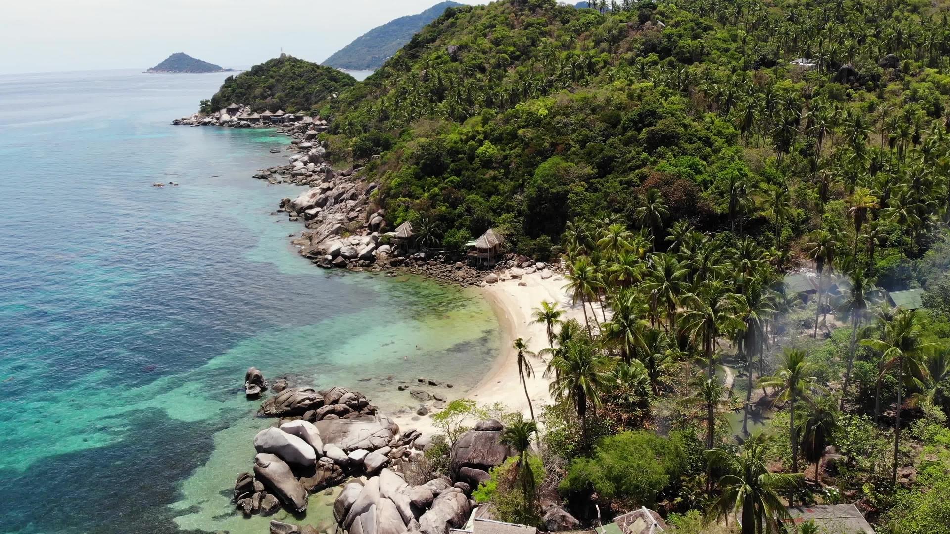 平房和绿椰子树在热带海滩上视频的预览图