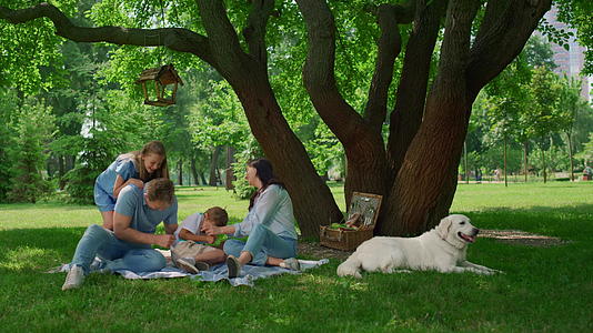 一家人在野餐毯上玩有趣的游戏视频的预览图