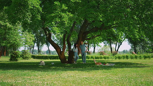 轻松的夫妇站在公园树影中视频的预览图