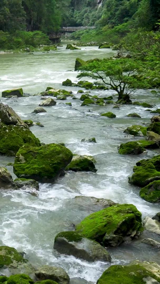 山中石澜流水河流视频的预览图