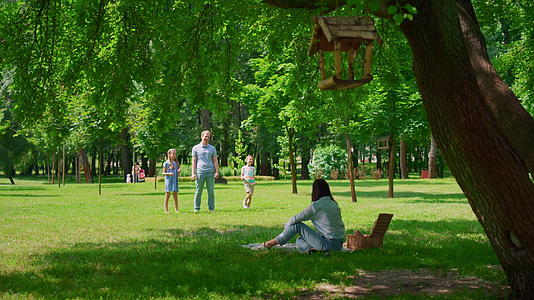 夏日公园里欢快的家庭休闲视频的预览图