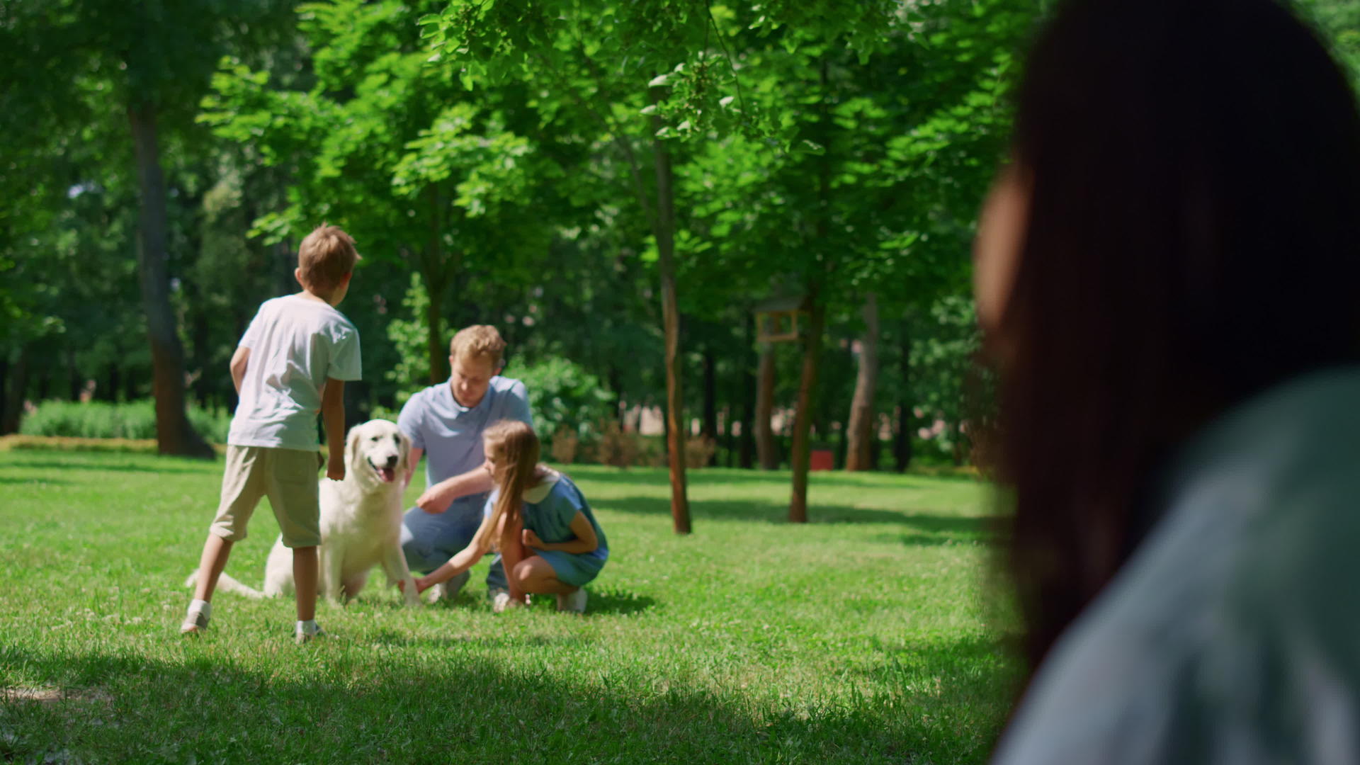 看着家人和狗在公园模糊的视野中玩耍的女人视频的预览图