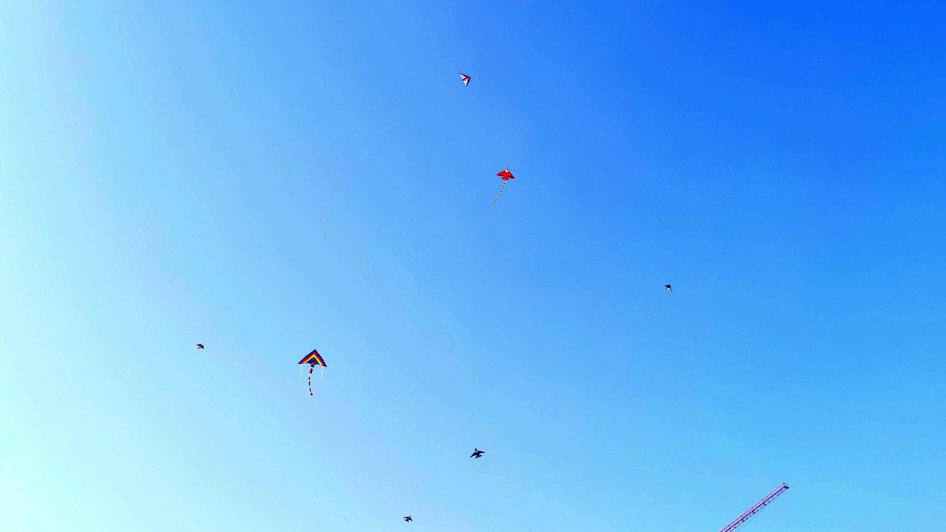 蓝天下飞翔的风筝4K视频的预览图