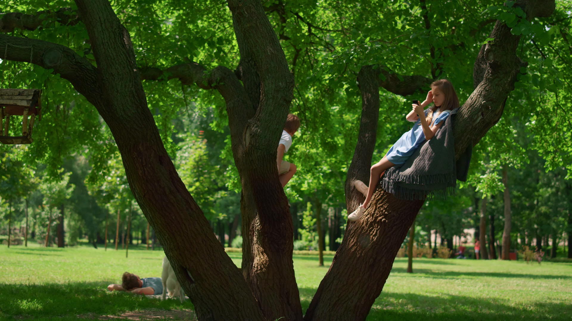 快乐的孩子们坐在树上野餐视频的预览图