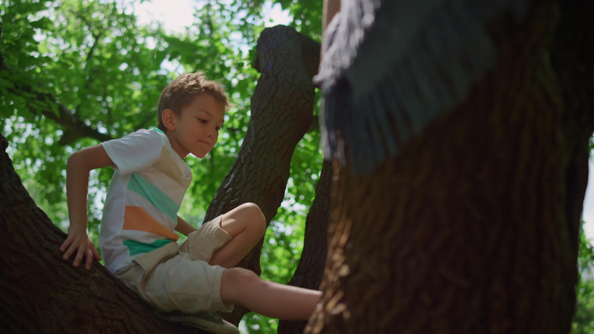 活跃的男孩在公园附近爬树视频的预览图
