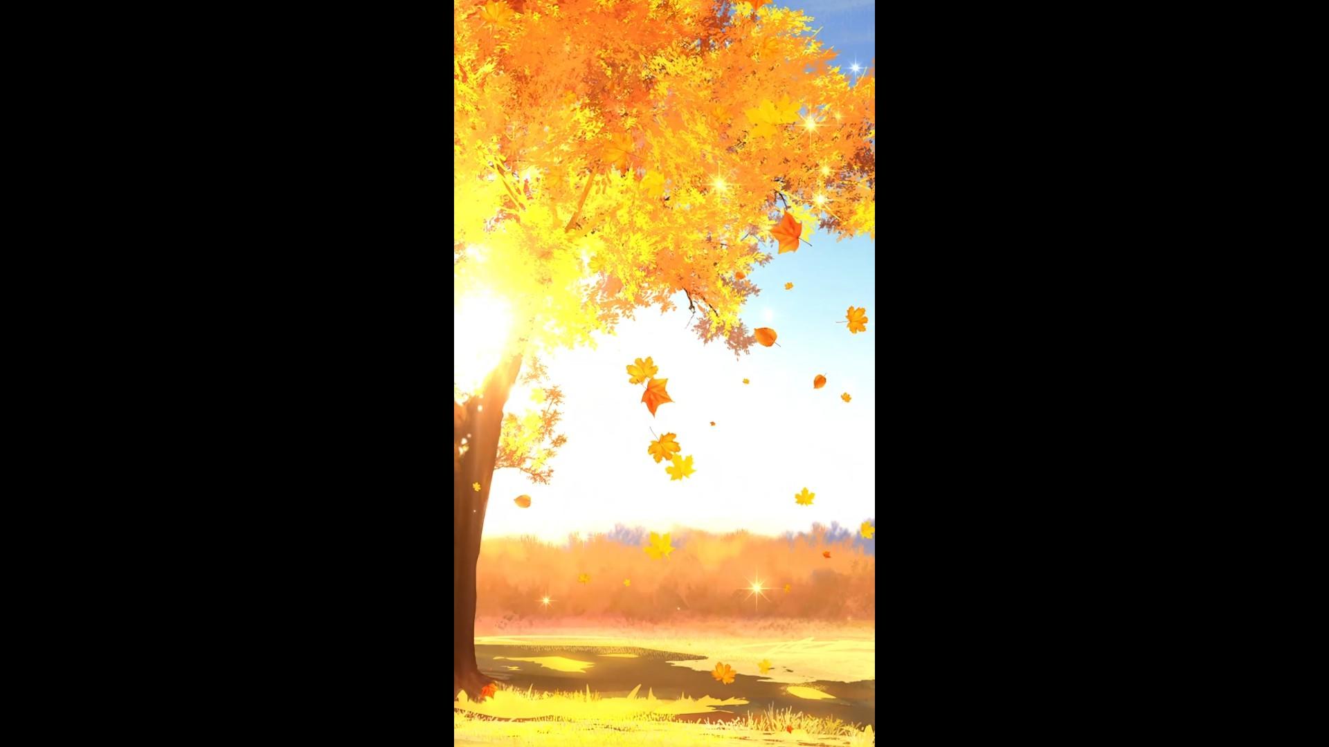 金色秋天树落叶唯美浪漫背景视频的预览图