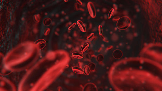血管血液流动视频的预览图