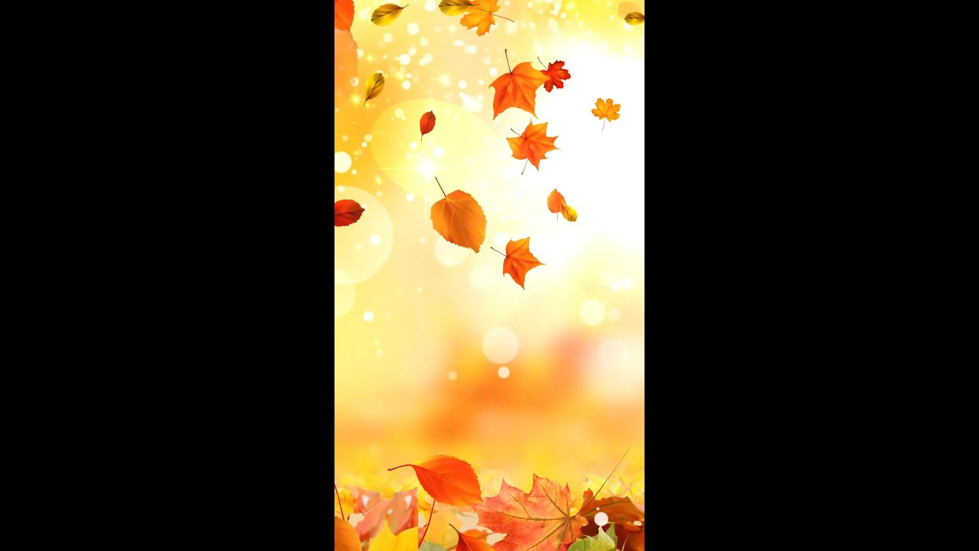 金色秋天树落叶堆积下落浪漫背景视频的预览图