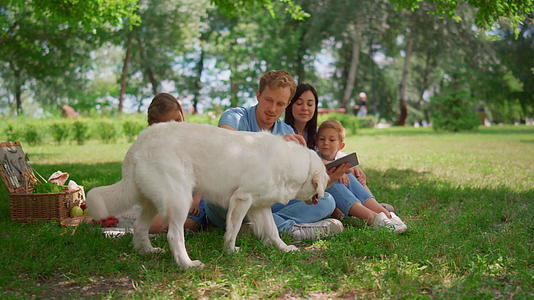 白狗躺在附近野餐时家人拿着平板电脑视频的预览图