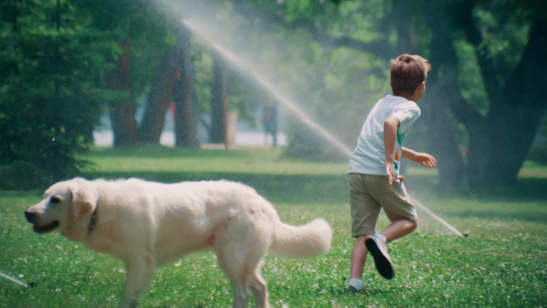 快乐的孩子们在夏天的公园里的洒水器旁跑出可爱的宠物视频的预览图