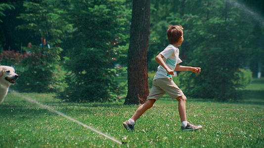 阳光明媚的日子里活跃的小男孩带着洒水器在田野里和狗玩耍视频的预览图