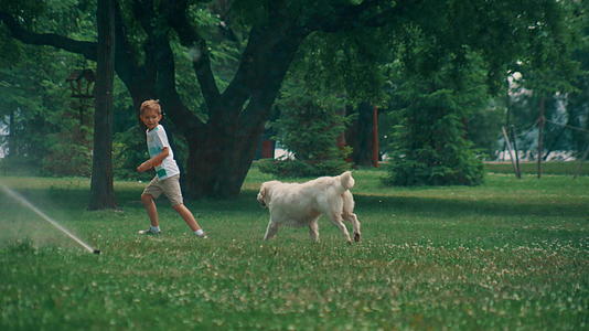 追小男孩的俏皮狗在夏天的公园里一起玩洒水装置视频的预览图