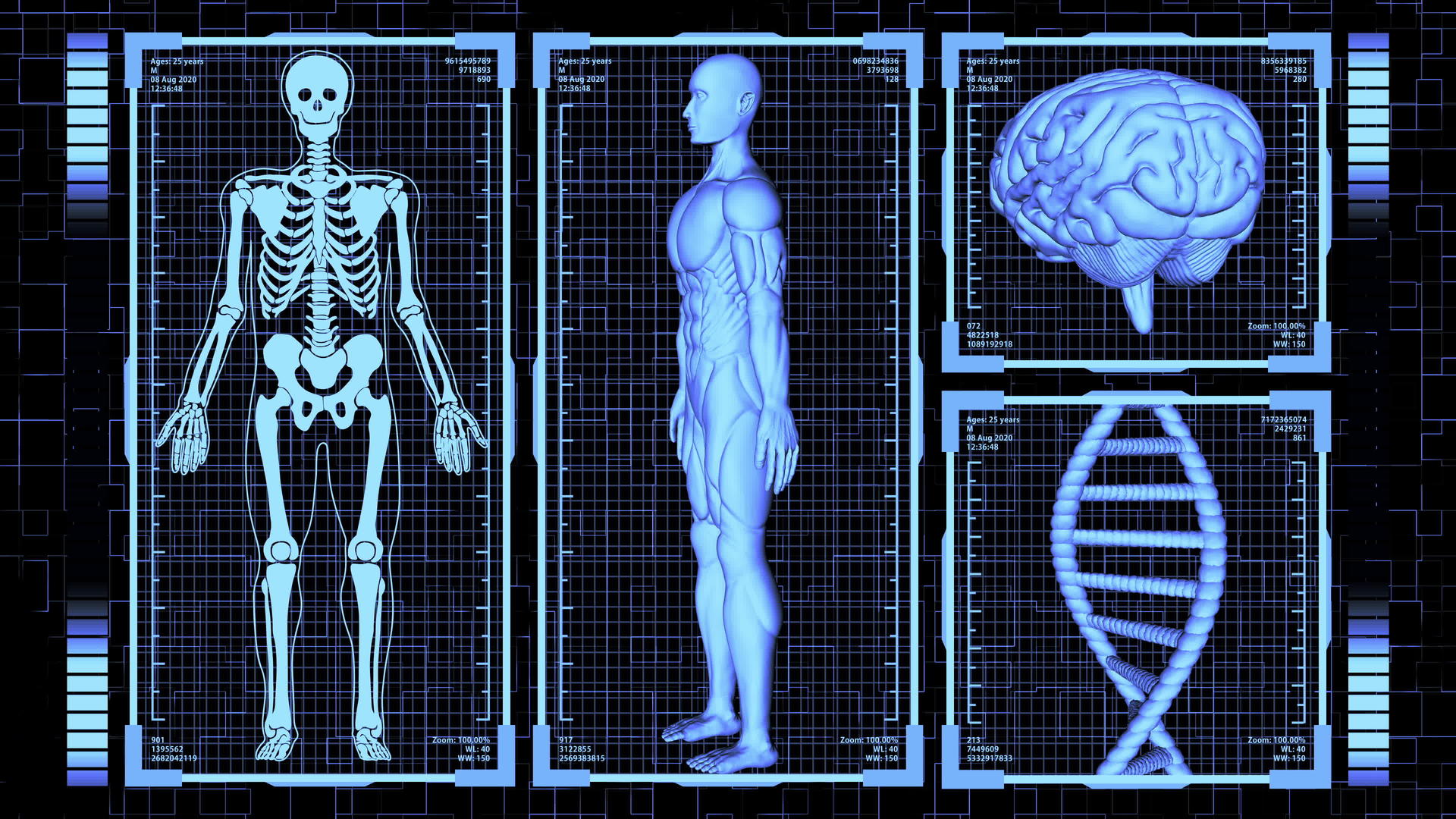 3D使肌肉解剖师的身体大脑DNA旋转包括人体视频的预览图