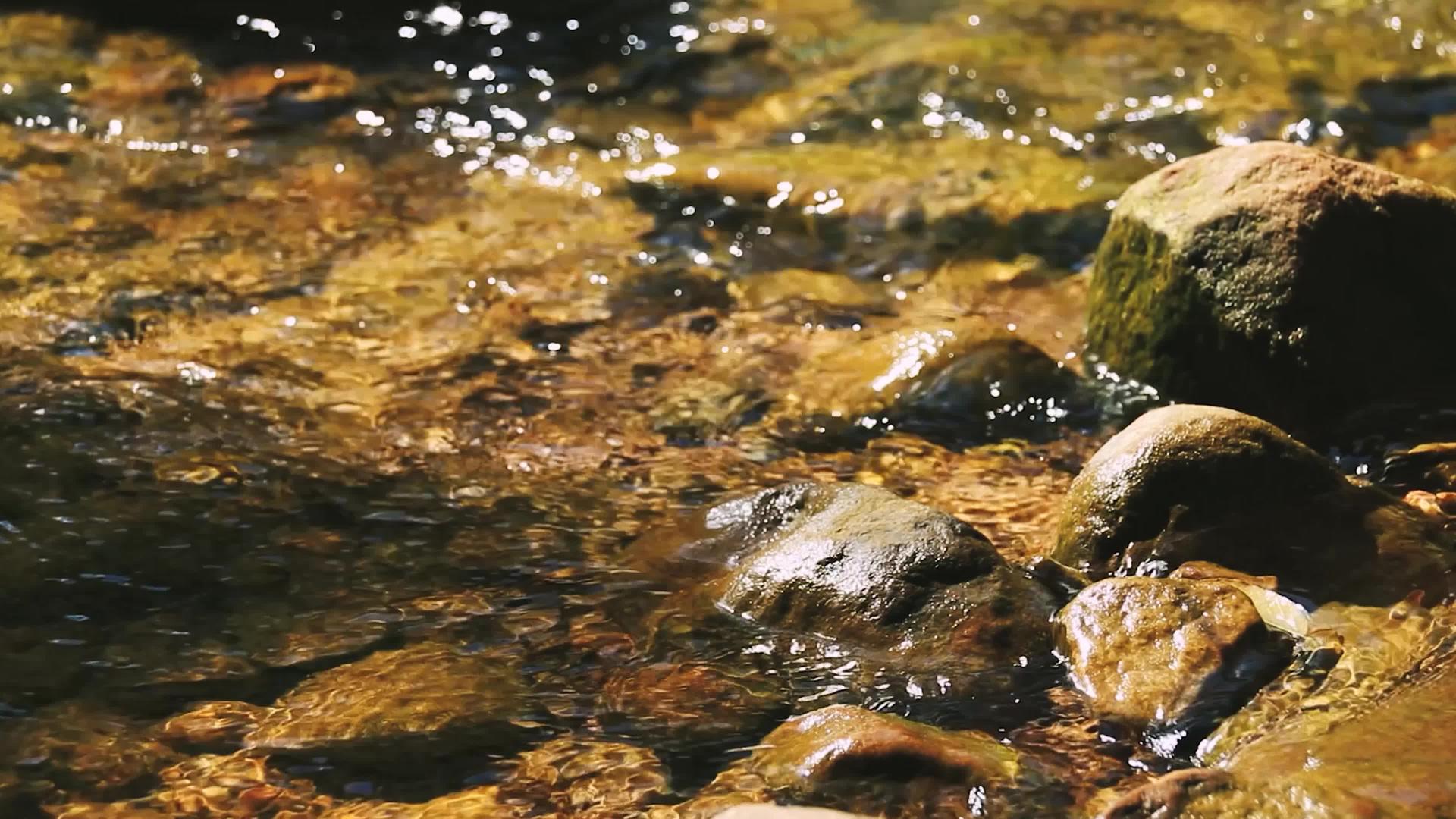 自然流动的泉水视频的预览图
