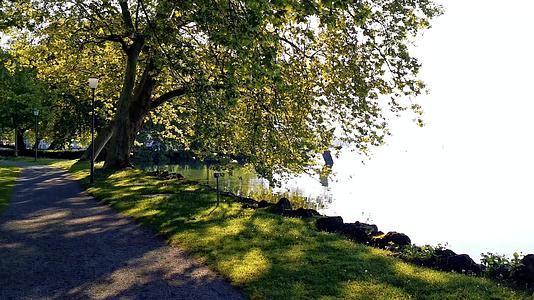 早晨的和平视频在瑞士的一个公园和湖泊ChamVillette视频的预览图
