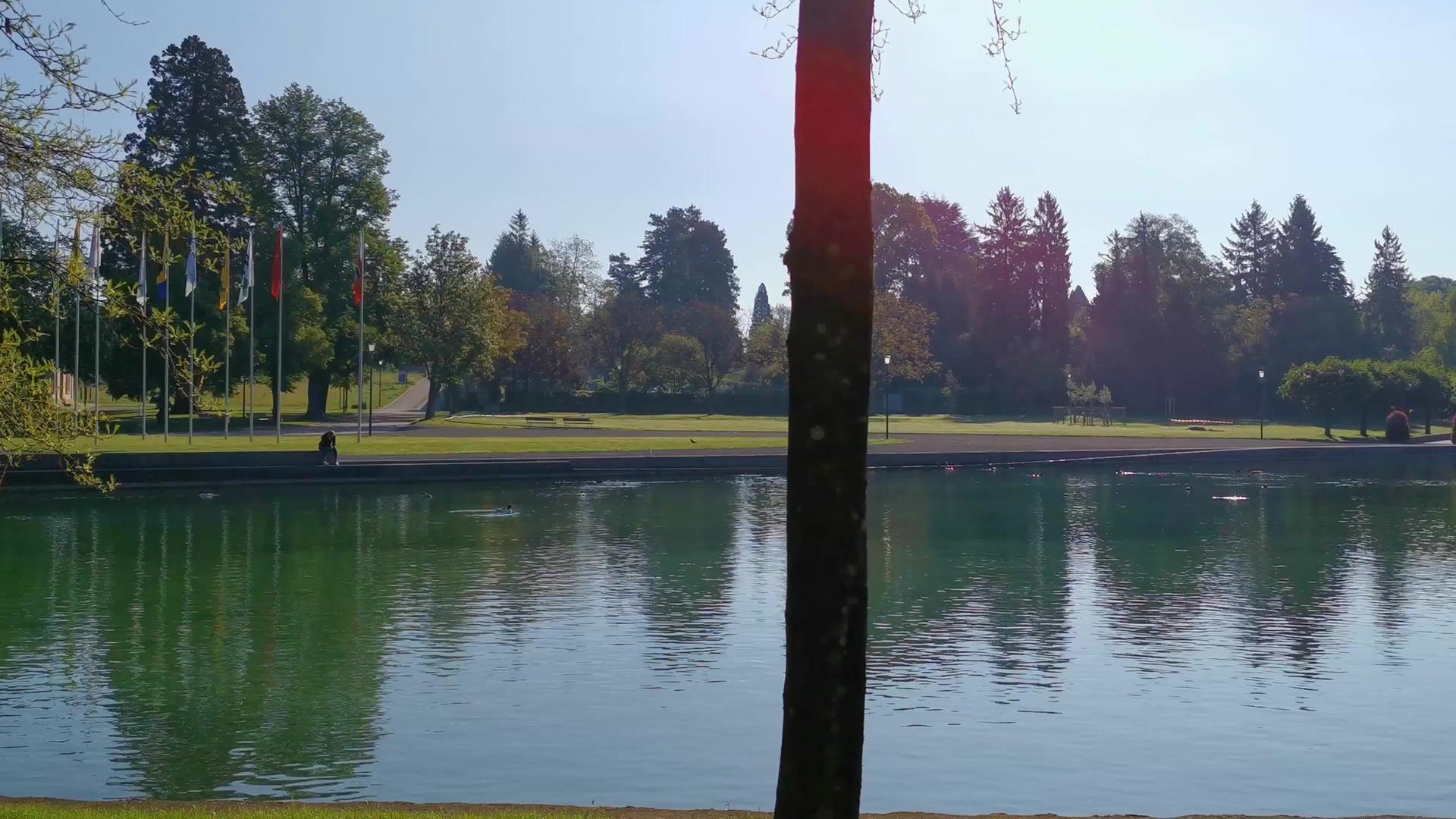 早晨的和平视频在瑞士的一个公园和湖泊ChamVillette视频的预览图