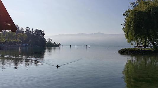和平的清晨是瑞士的一个公园湖视频的预览图
