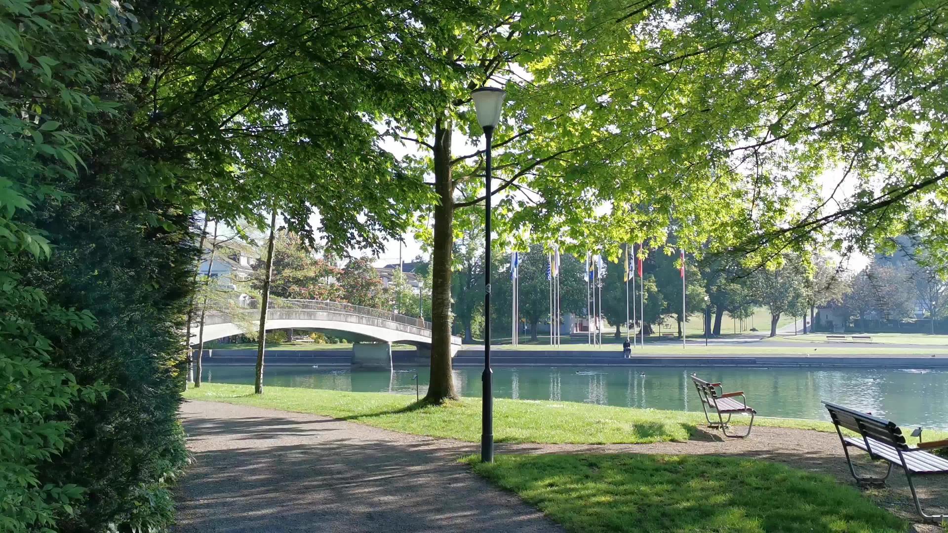 和平的清晨是瑞士的一个公园湖视频的预览图